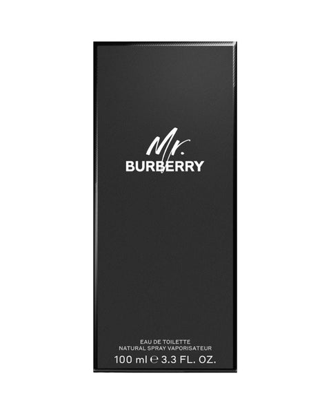 burberry mr burberry edt 3.3 fl oz