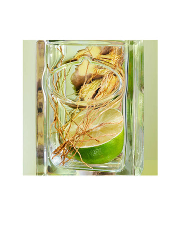 Infusion Vetiver EDP V100ml