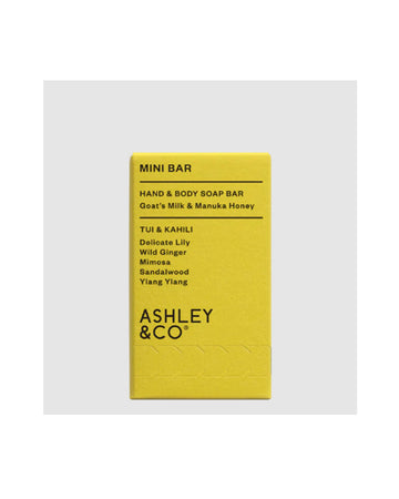 Ashley & Co | Mini Bar - Hand & Body Soap